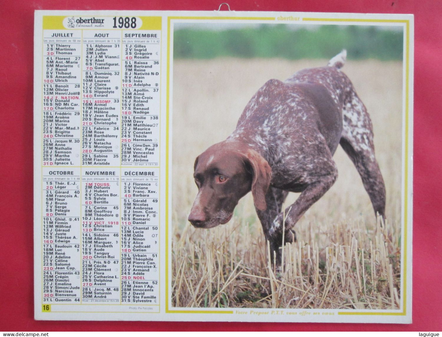 LOT 11 CALENDRIERS ALMANACHS  De 1983 à 2007 LAVIGNE OBERTHUR Sur La  CHASSE Et La  PÊCHE - Grand Format : 1981-90