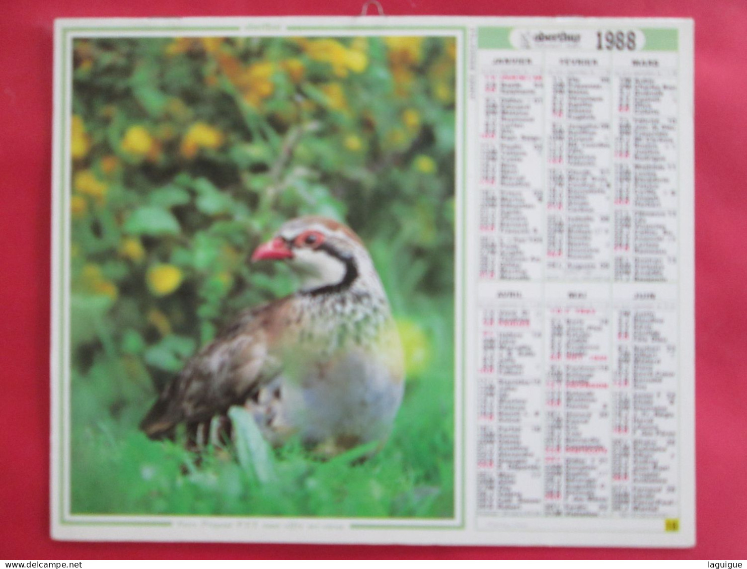 LOT 11 CALENDRIERS ALMANACHS  De 1983 à 2007 LAVIGNE OBERTHUR Sur La  CHASSE Et La  PÊCHE - Grand Format : 1981-90