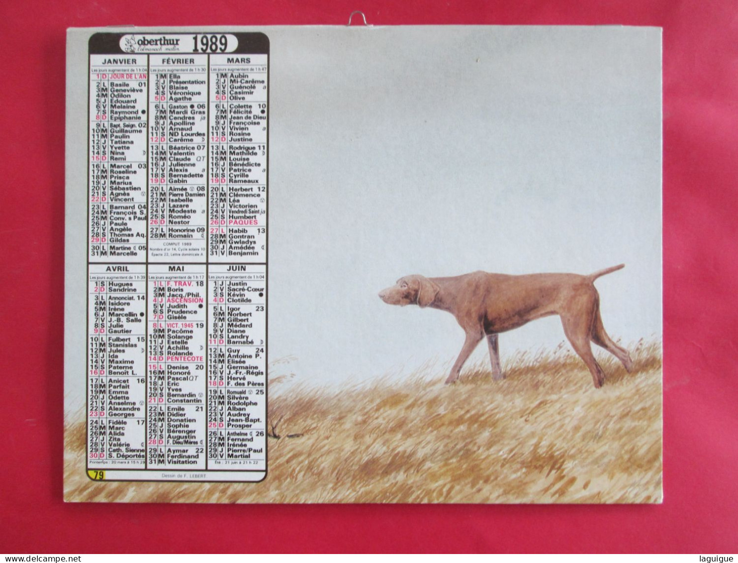 LOT 11 CALENDRIERS ALMANACHS  De 1983 à 2007 LAVIGNE OBERTHUR Sur La  CHASSE Et La  PÊCHE - Groot Formaat: 1981-90