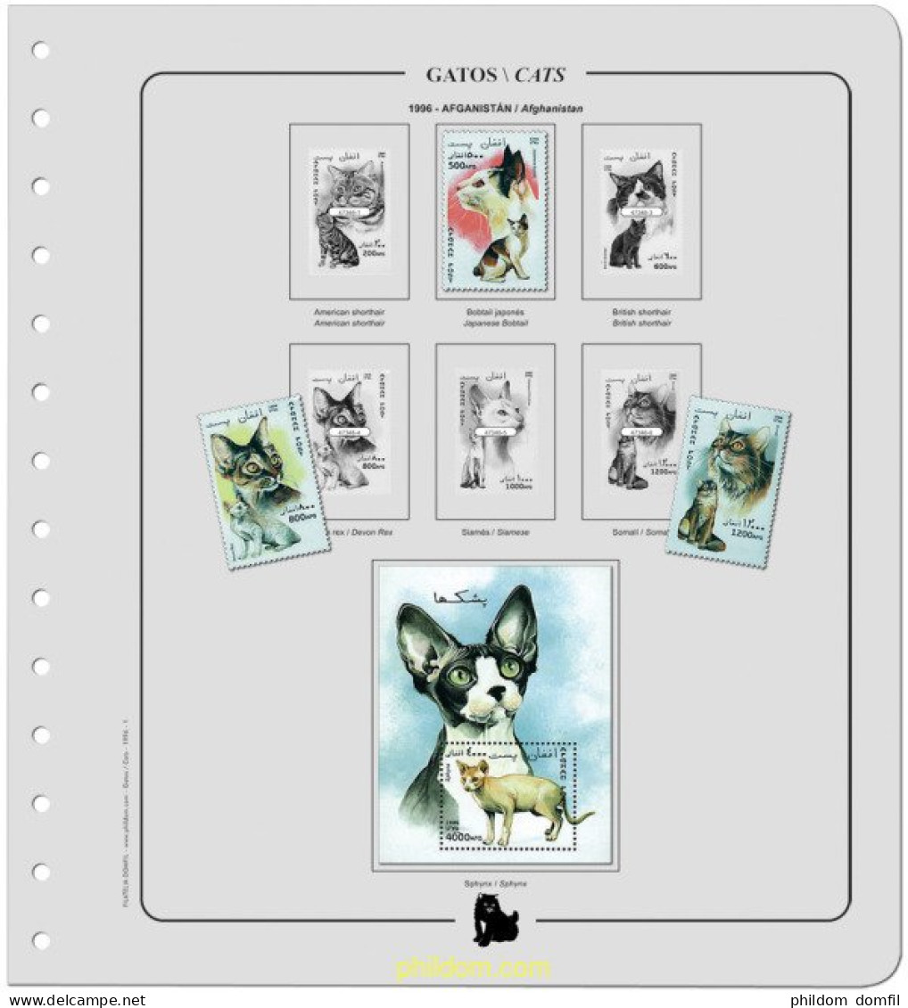 Supl.Gatos 1996/1997a. Montado. - Other & Unclassified