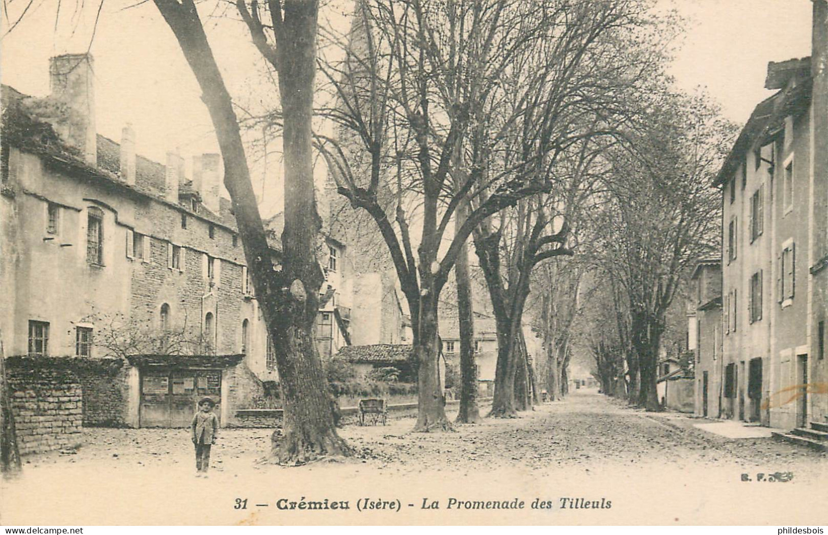 ISERE  CREMIEU  La Promenade Des Tilleuls - Crémieu