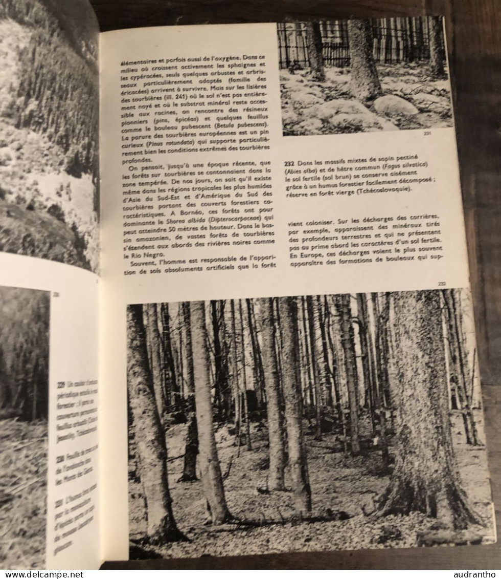 ENCYCLOPEDIE ILLUSTREE DE LA FORET - Grund - J. Janik 1980 - Encyclopaedia