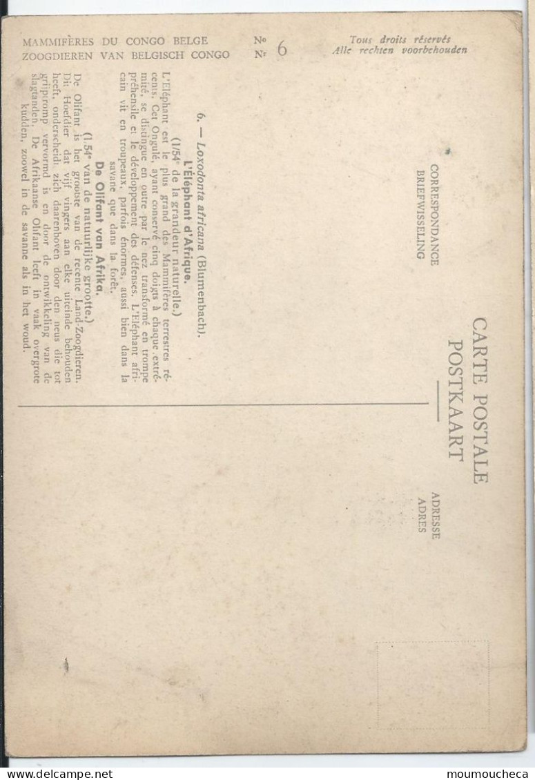 CP : Institut Royal Des Sciences Naturelles De Belgique - Mammiferes Du Congo Belge -  6 L'Eléphant D'Afrique (2 Scans) - Collections & Lots