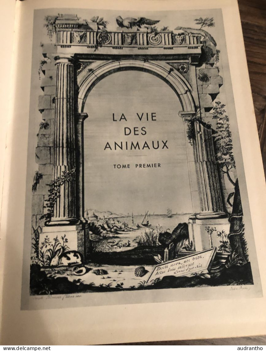 LA VIE DES ANIMAUX Par L. Bertin Professeur Musée Histoire Naturelle Tome 1 Larousse 1949 1036 Gravures 9 En Couleur - Encyclopédies