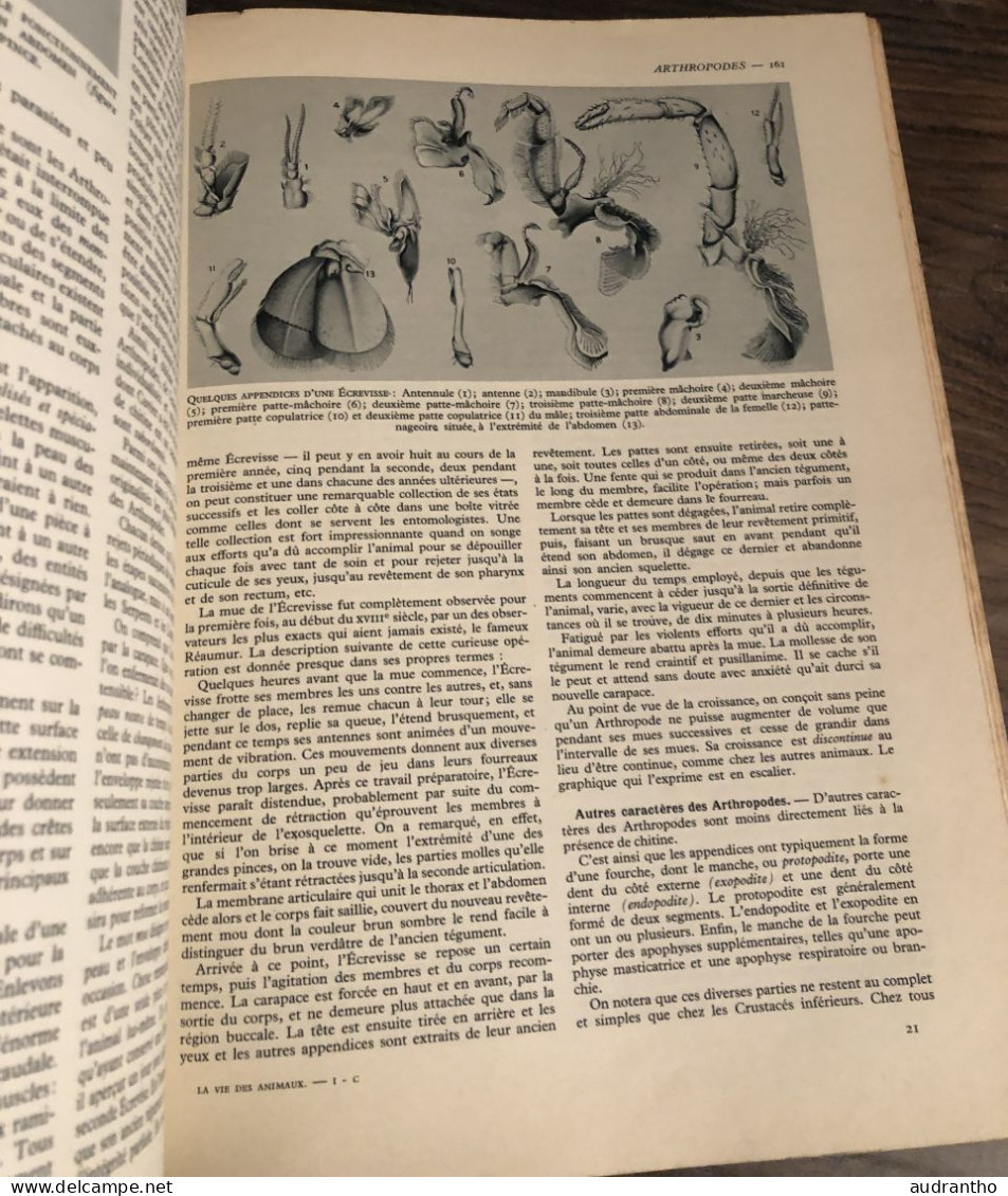 LA VIE DES ANIMAUX Par L. Bertin Professeur Musée Histoire Naturelle Tome 1 Larousse 1949 1036 Gravures 9 En Couleur - Encyclopedieën