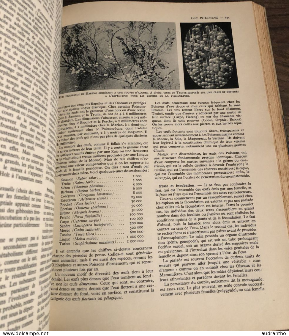 LA VIE DES ANIMAUX par L. Bertin professeur musée histoire naturelle tome 1 Larousse 1949 1036 gravures 9 en couleur