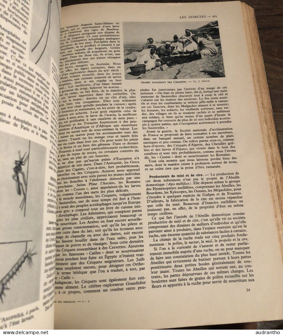 LA VIE DES ANIMAUX par L. Bertin professeur musée histoire naturelle tome 1 Larousse 1949 1036 gravures 9 en couleur