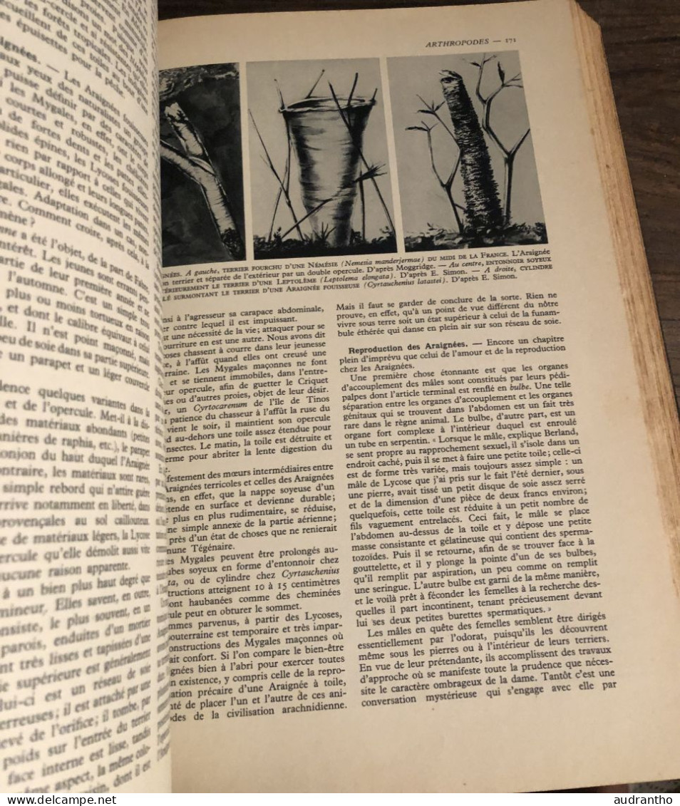 LA VIE DES ANIMAUX par L. Bertin professeur musée histoire naturelle tome 1 Larousse 1949 1036 gravures 9 en couleur