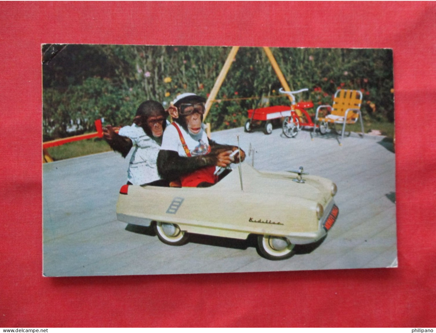1950s KIDILLAC PEDAL CAR At MONKEY JUNGLE Near MIAMI FL.    Ref 6234 - Singes