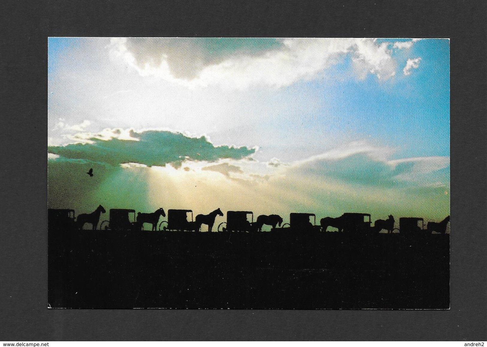 LANCASTER - PENNSYLVANIA - THE AMISH COUNTRY - SILHOUETTED AGAINST A SERENE SKY  PROCESSION OF BUGGIES BY HENRY HERTZLER - Lancaster