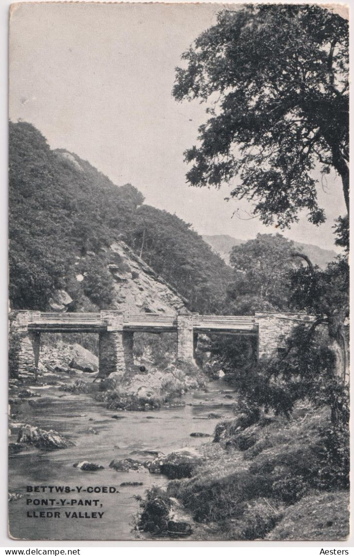 Bettws-y-Coed 1913; Pont-y-Pant. Lledr Valley - Circulated. - Caernarvonshire