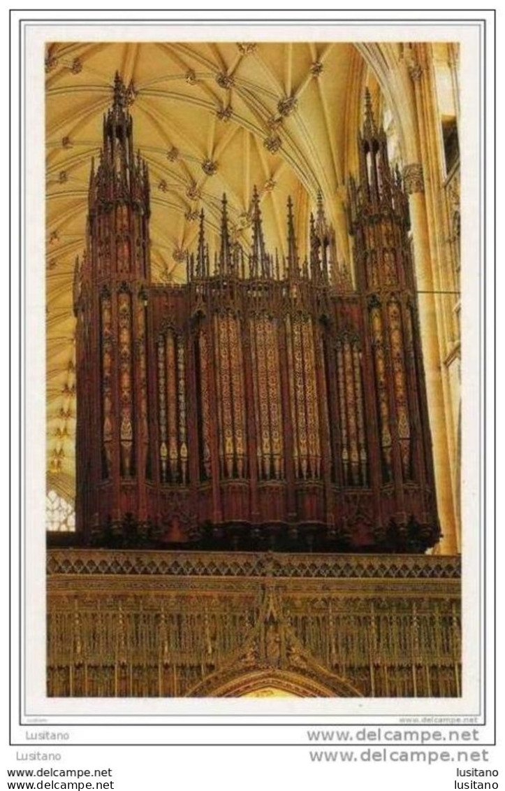 Orgue De La Cathedrale D' York - Organ Orgel - United Kingdom England - York