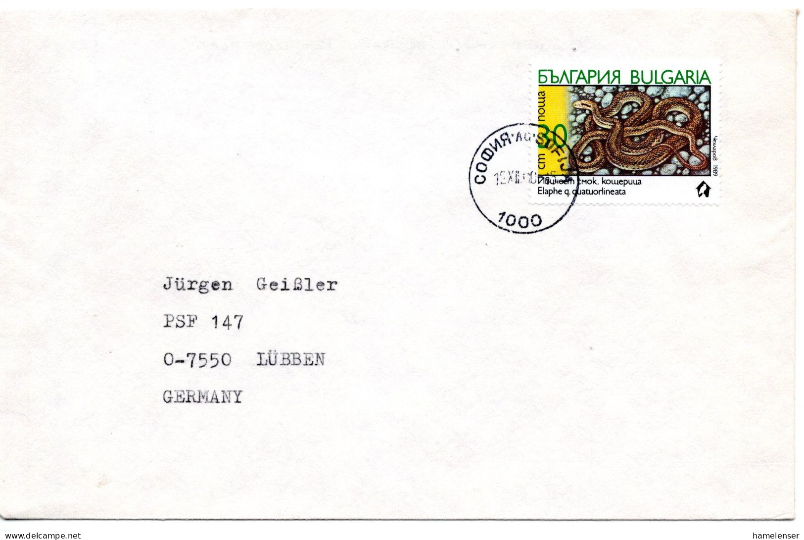 60433 - Bulgarien - 1990 - 30St Vierstreifennatter EF A Bf SOFIYA -> Deutschland - Serpents