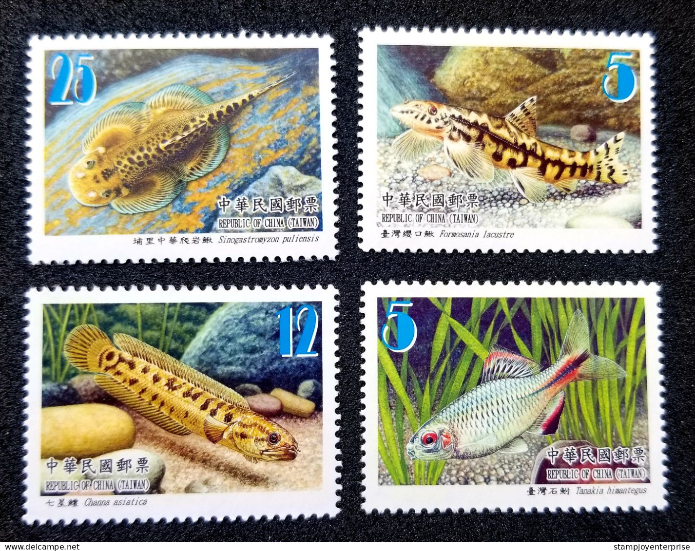 Taiwan Fishes (II) 2012 Fauna Marine Life Underwater River Fish (stamp) MNH - Nuovi