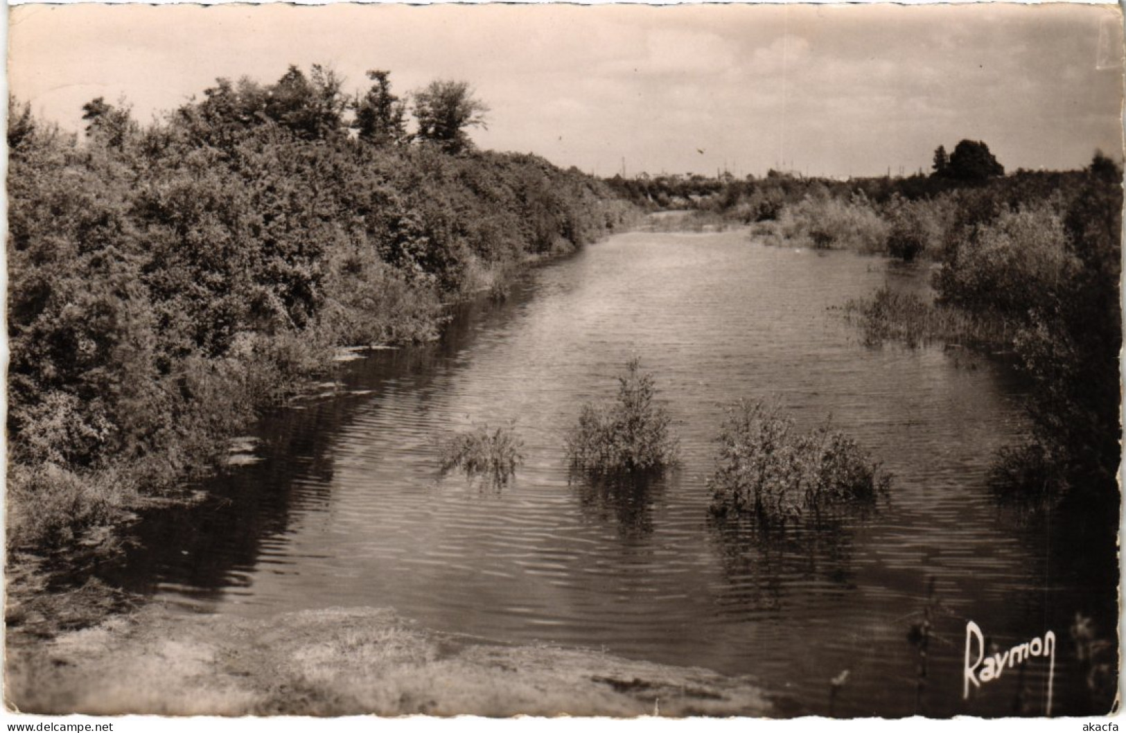 CPA MORSANG-sur-ORGE Un Coin De L'Etang De Piketti (1355106) - Morsang Sur Orge