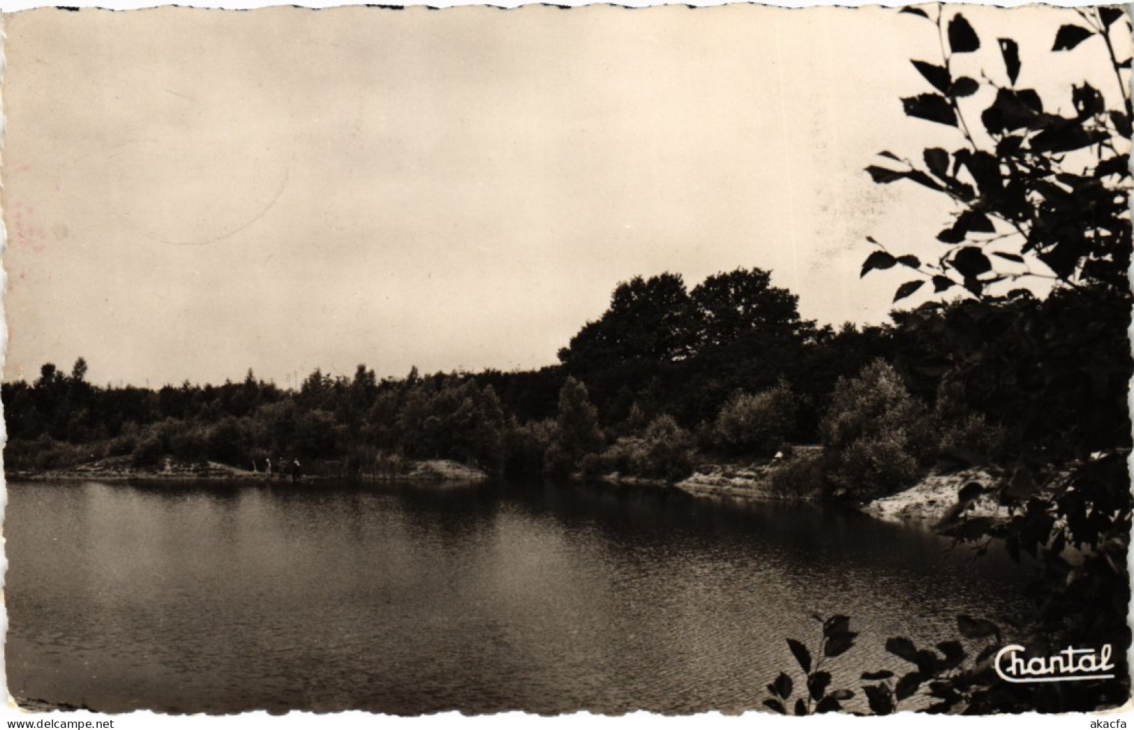 CPA FLEURY-MEROGIS Vue Sur Le Lac (1355160) - Fleury Merogis