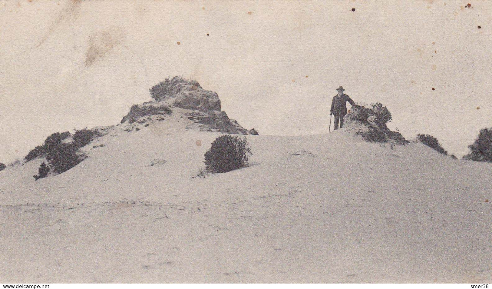 Belgique (anvers)-  In De Calmphoutsche Duinen - Dans Les Dunes De Calmpthout - Kalmthout