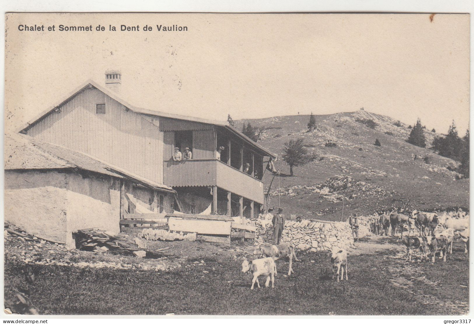 D7028) CHALET Et Sommet De La DENT De VAULION Mit Kühen - OLD! 1912 - Vaulion