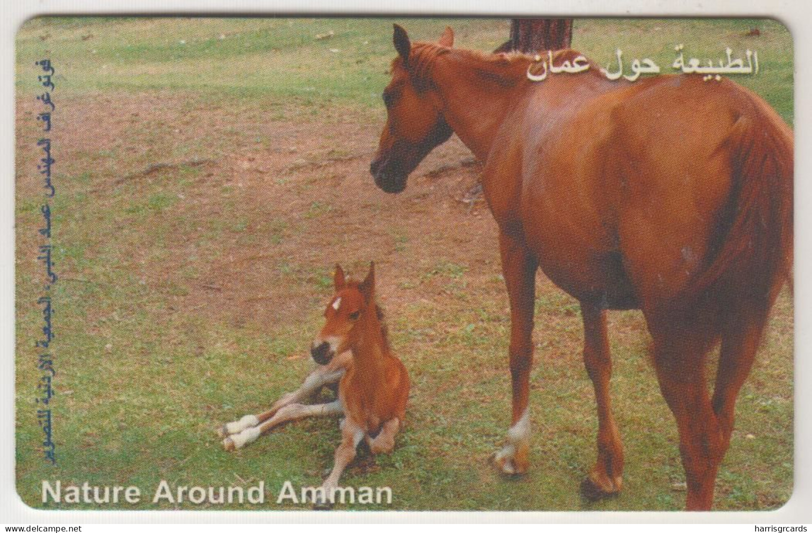 JORDAN - Horse, CN: Orange Control Number Vertical At The Left, Tirage 100.000, 07/00, Used - Jordanien