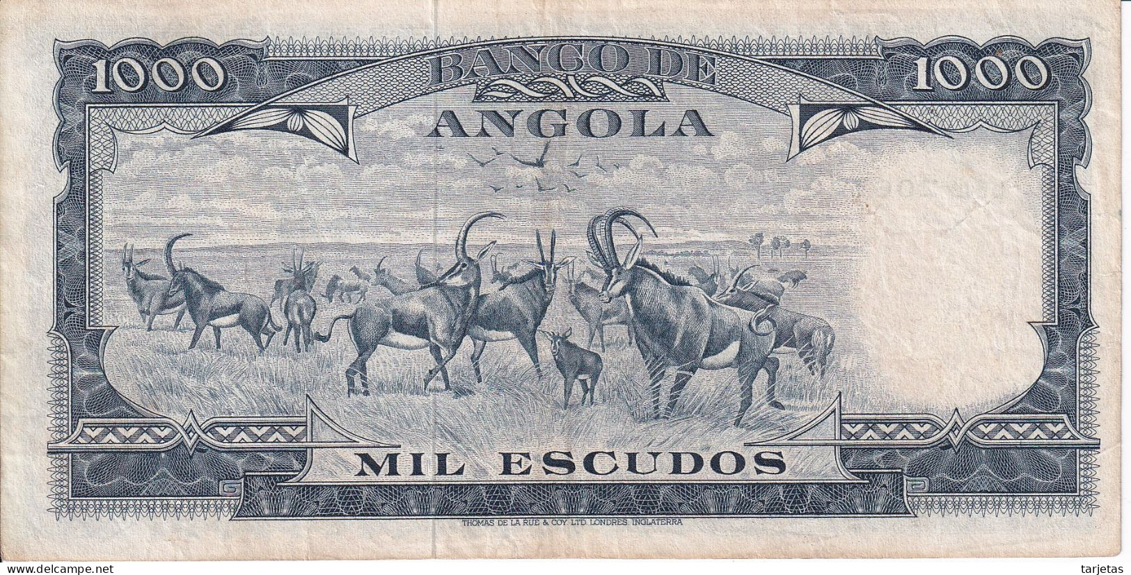 BILLETE DE ANGOLA DE 1000 ESCUDOS DEL AÑO 1970 EN CALIDAD EBC (XF)(BANKNOTE) - Angola