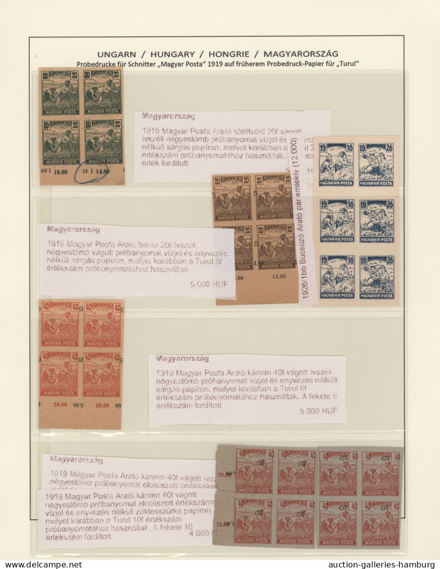 **/Cover/GA/o/* Hungary: 1918/1921, comprehensive collection in three Schaubek albums, well coll