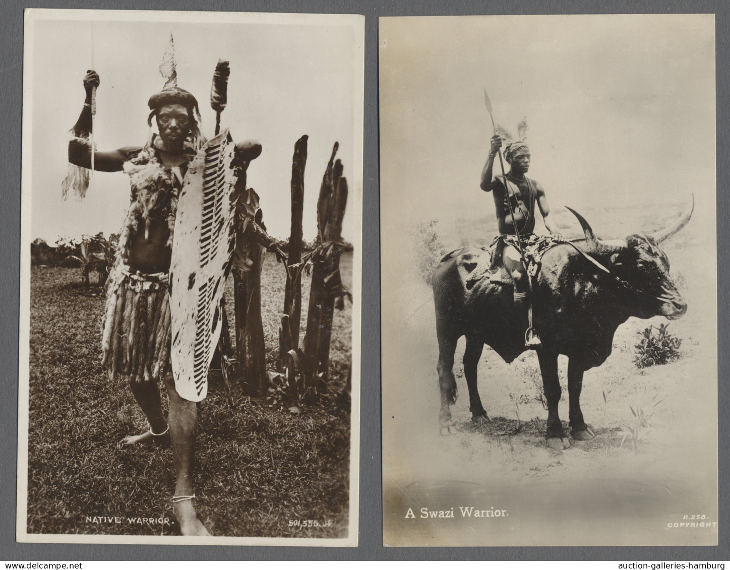 AK Ansichtskarten: Alle Welt: AFRIKA; 1920-1940 (ca.), Sammlung Von über 180 Ungela - Mundo