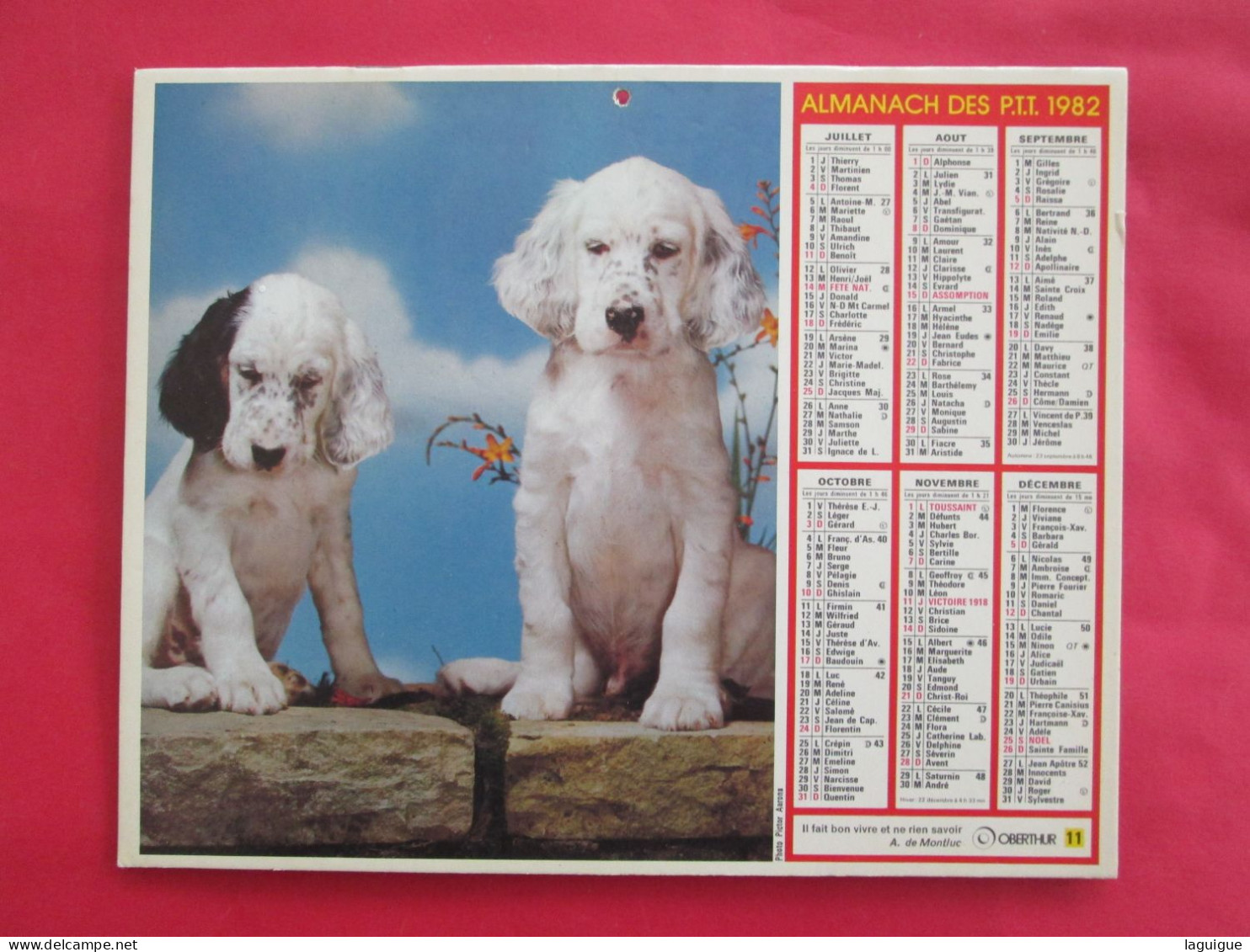 LOT DE 31 CALENDRIERS ALMANACHS De 1982 à 2016  CHIEN, CHAT, POUSSIN LAVIGNE OBERTHUR OLLER - Grand Format : 1981-90