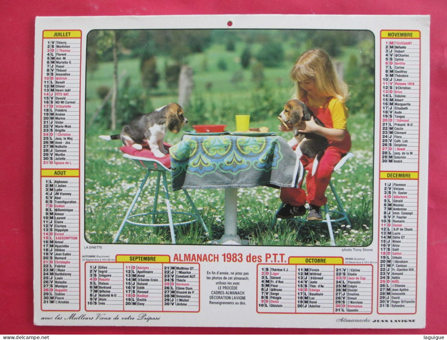 LOT DE 31 CALENDRIERS ALMANACHS De 1982 à 2016  CHIEN, CHAT, POUSSIN LAVIGNE OBERTHUR OLLER - Big : 1981-90