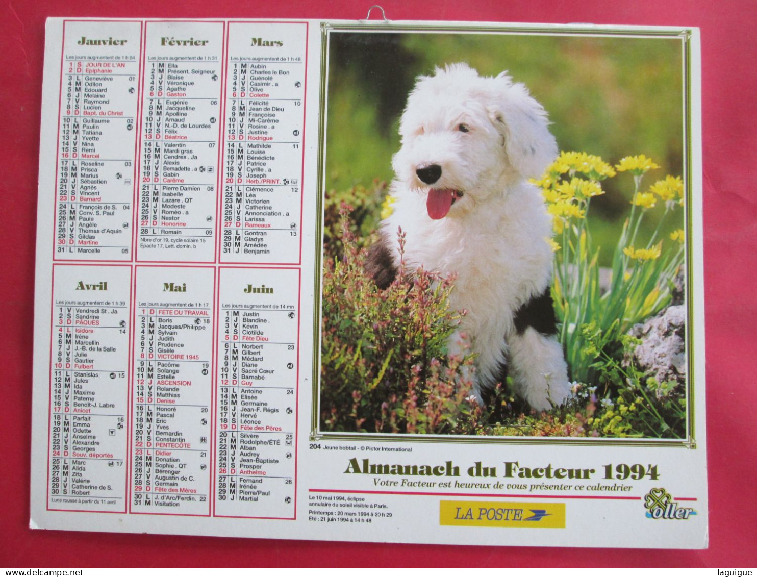 LOT DE 31 CALENDRIERS ALMANACHS de 1982 à 2016  CHIEN, CHAT, POUSSIN LAVIGNE OBERTHUR OLLER