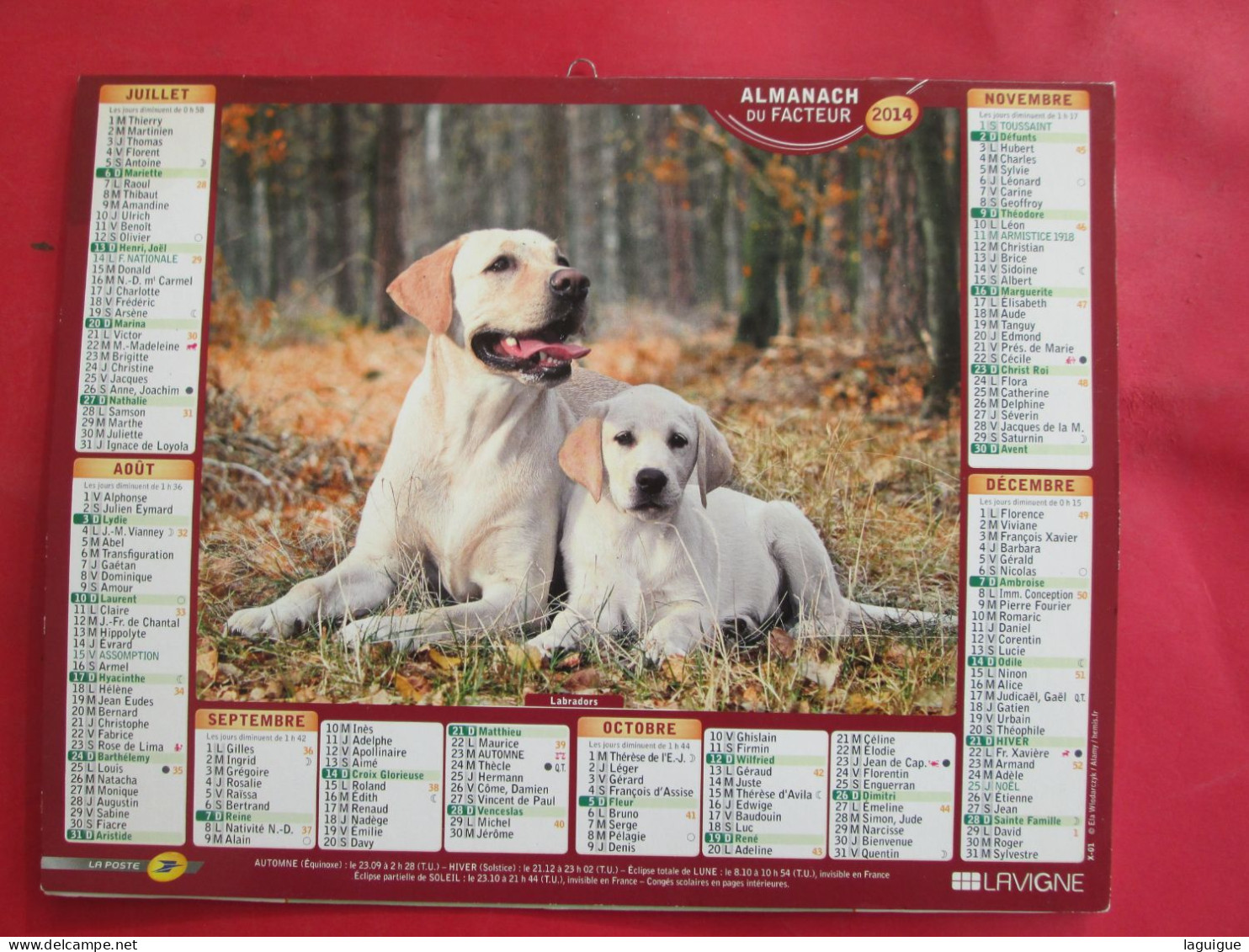 LOT DE 31 CALENDRIERS ALMANACHS de 1982 à 2016  CHIEN, CHAT, POUSSIN LAVIGNE OBERTHUR OLLER