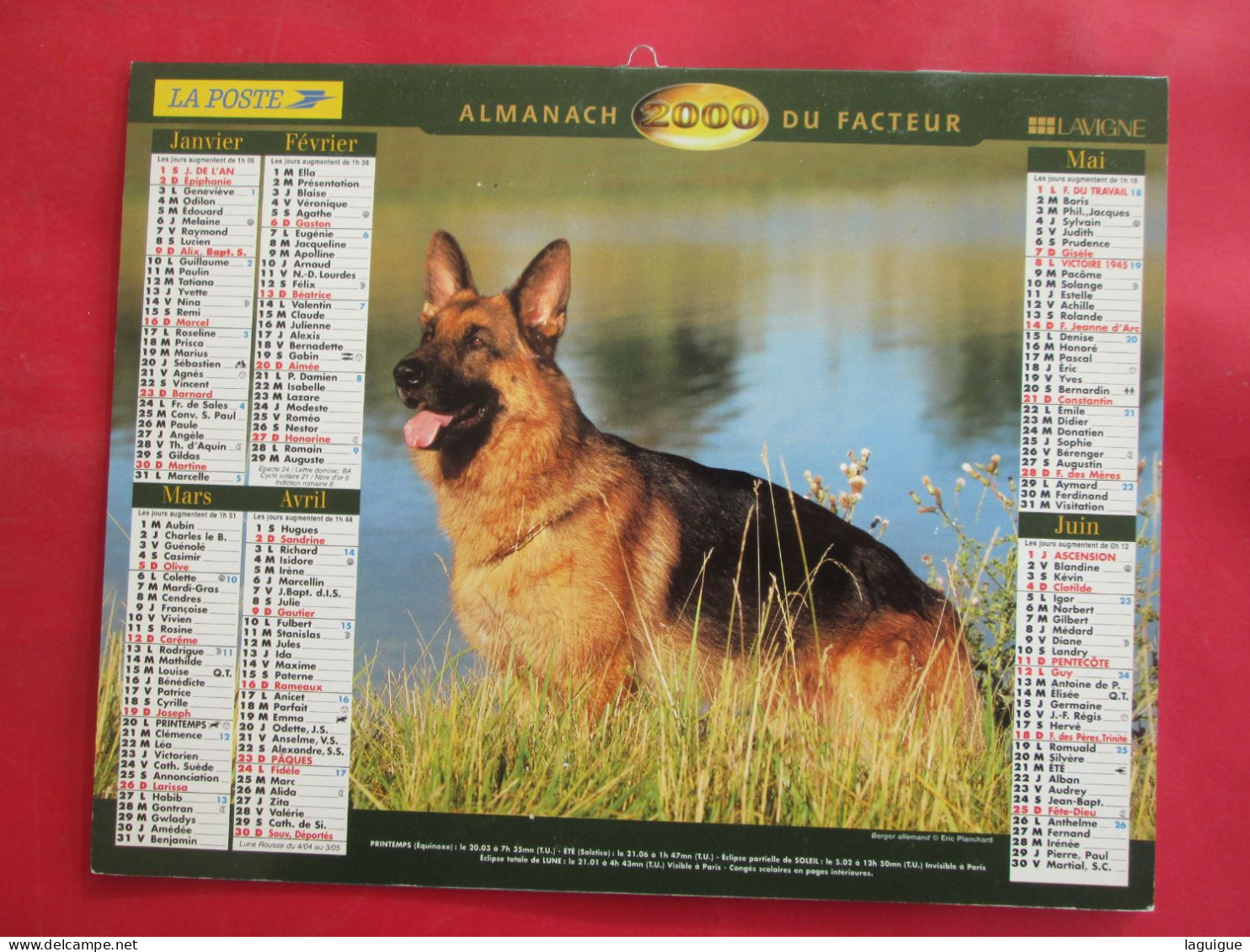 LOT DE 31 CALENDRIERS ALMANACHS de 1982 à 2016  CHIEN, CHAT, POUSSIN LAVIGNE OBERTHUR OLLER