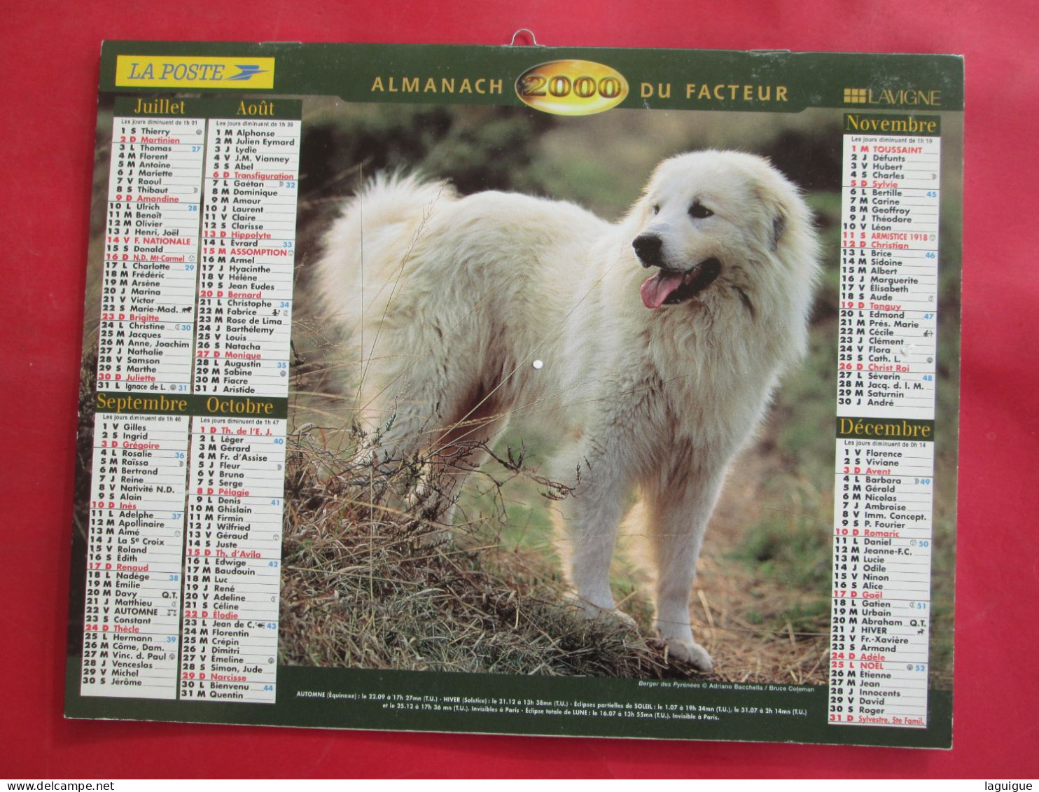 LOT DE 31 CALENDRIERS ALMANACHS de 1982 à 2016  CHIEN, CHAT, POUSSIN LAVIGNE OBERTHUR OLLER