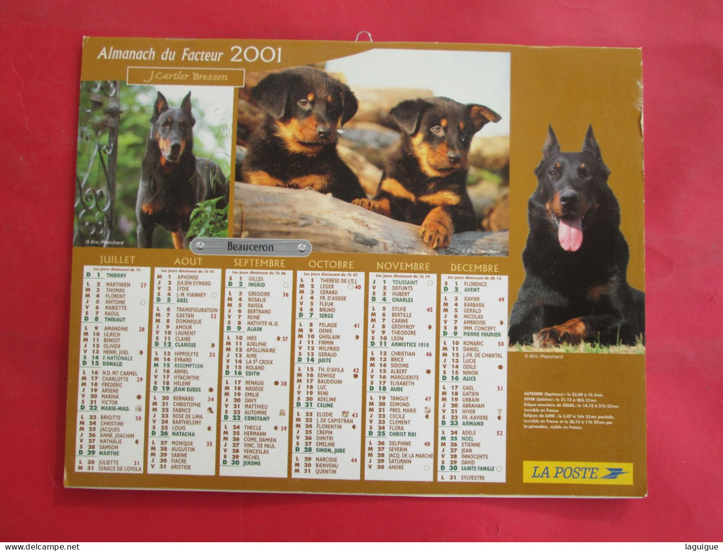 LOT DE 31 CALENDRIERS ALMANACHS de 1982 à 2016  CHIEN, CHAT, POUSSIN LAVIGNE OBERTHUR OLLER