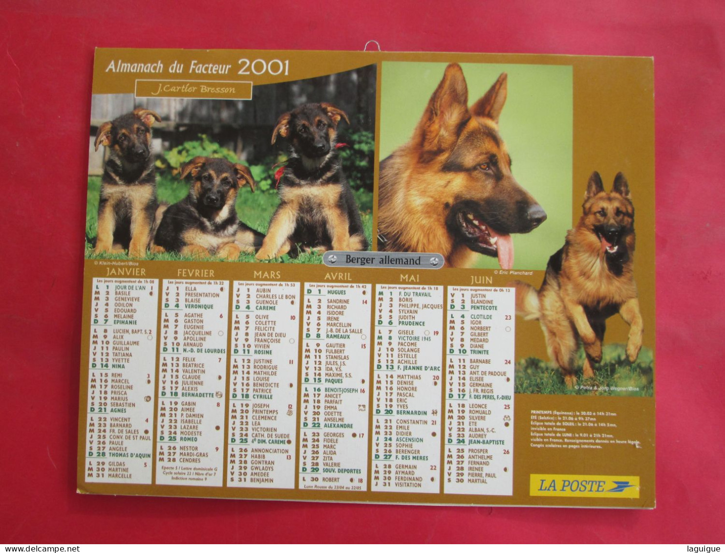 LOT DE 31 CALENDRIERS ALMANACHS de 1982 à 2016  CHIEN, CHAT, POUSSIN LAVIGNE OBERTHUR OLLER