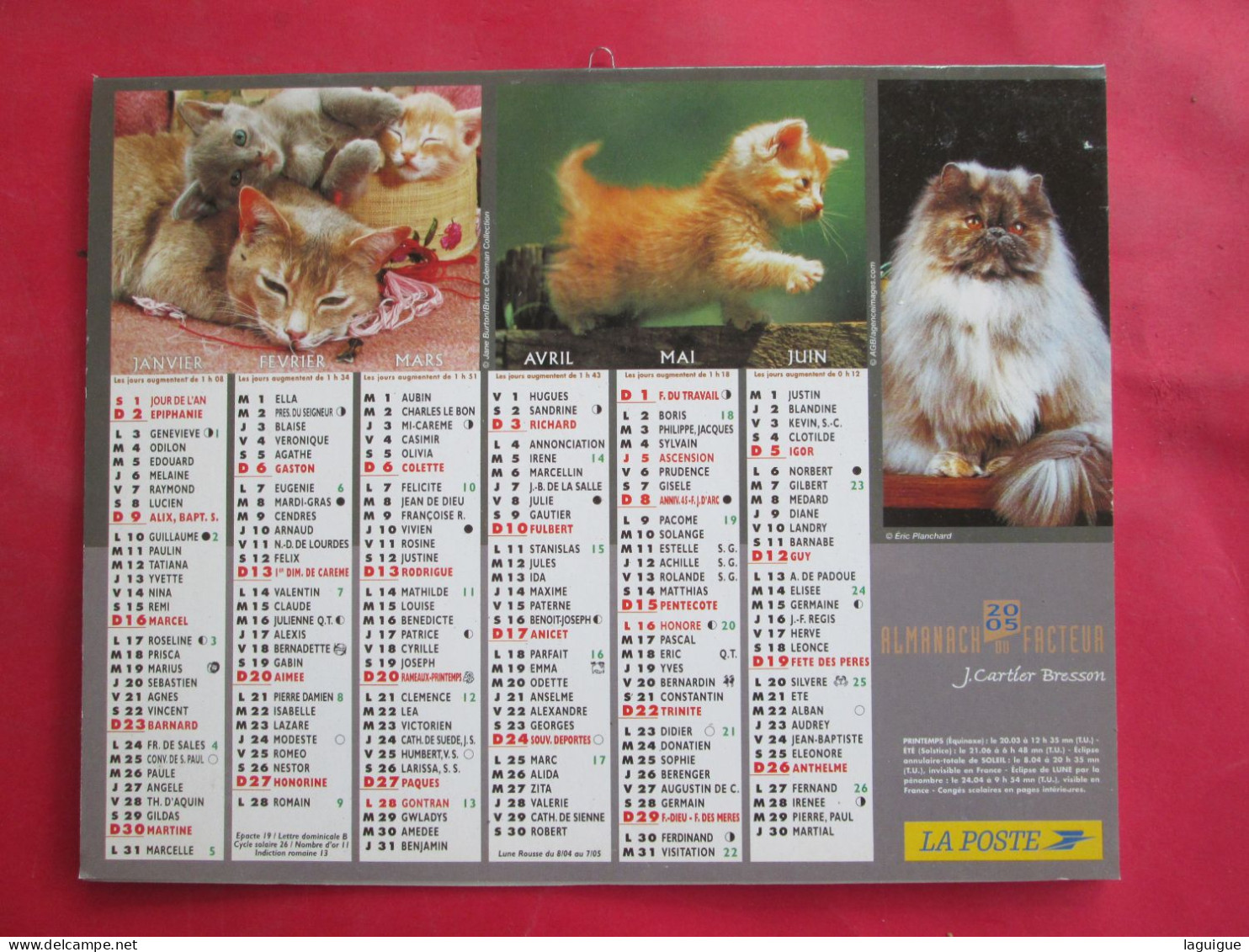 LOT DE 31 CALENDRIERS ALMANACHS de 1982 à 2016  CHIEN, CHAT, POUSSIN LAVIGNE OBERTHUR OLLER