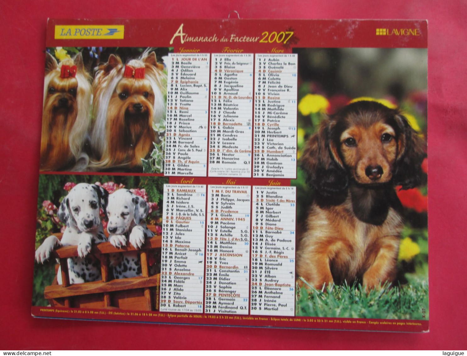 LOT DE 31 CALENDRIERS ALMANACHS de 1982 à 2016  CHIEN, CHAT, POUSSIN LAVIGNE OBERTHUR OLLER