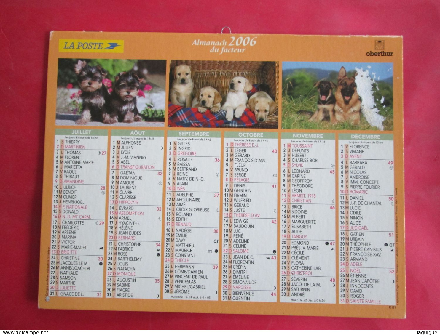 LOT DE 31 CALENDRIERS ALMANACHS de 1982 à 2016  CHIEN, CHAT, POUSSIN LAVIGNE OBERTHUR OLLER