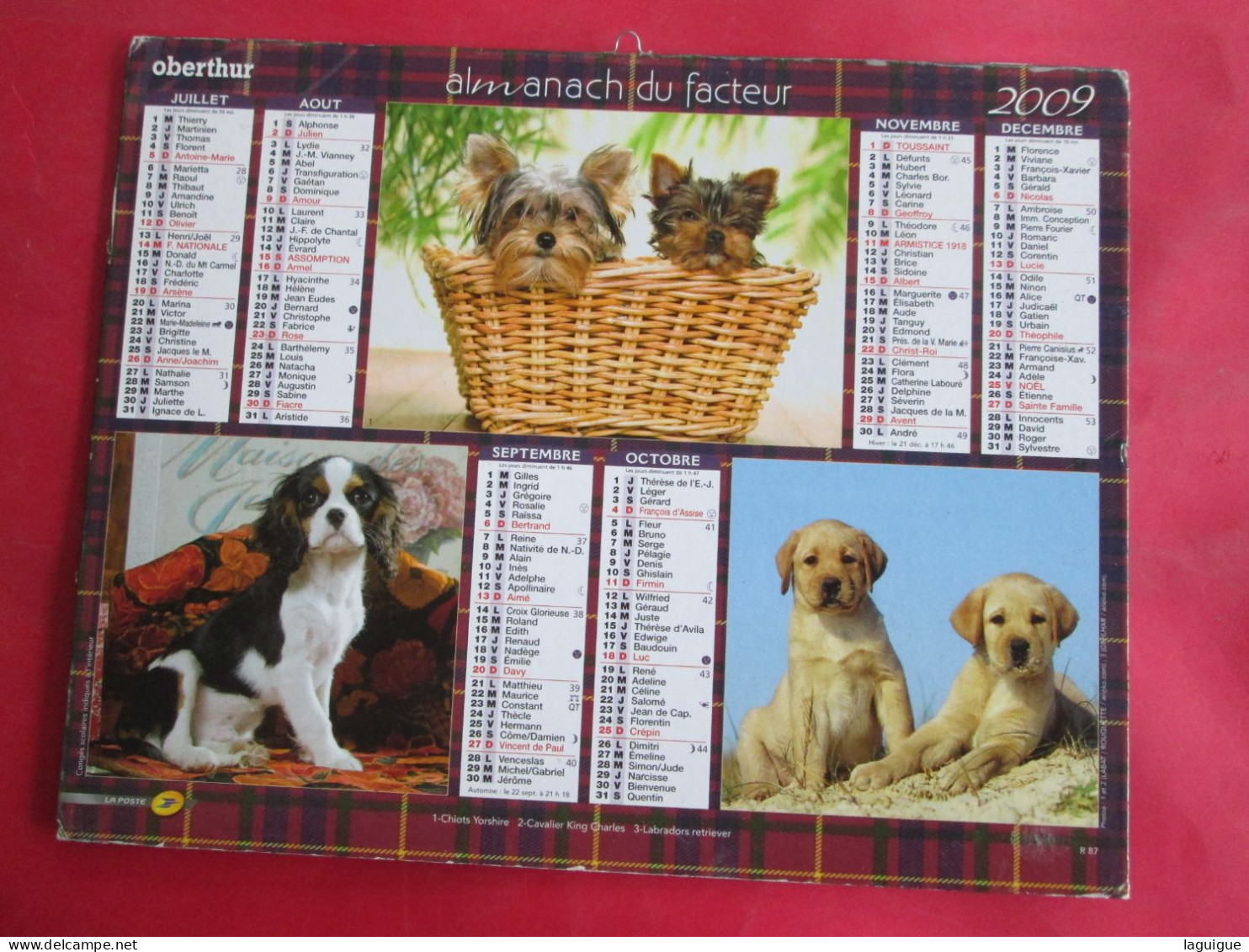 LOT DE 31 CALENDRIERS ALMANACHS de 1982 à 2016  CHIEN, CHAT, POUSSIN LAVIGNE OBERTHUR OLLER