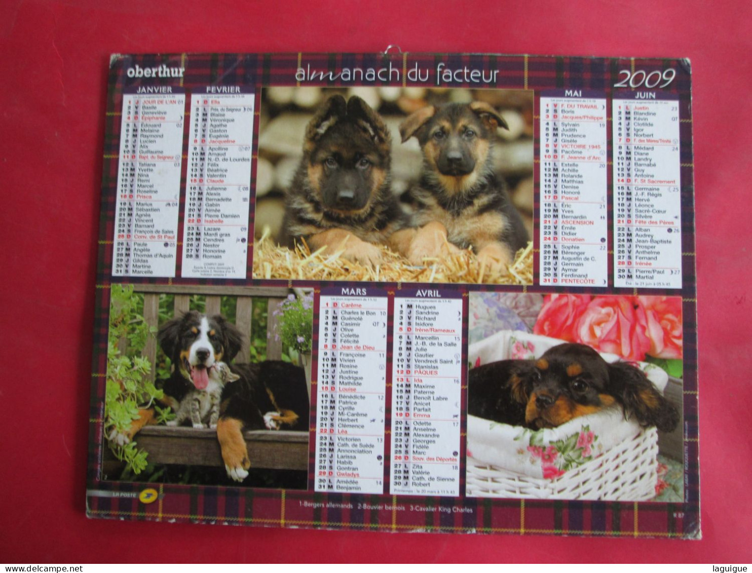 LOT DE 31 CALENDRIERS ALMANACHS de 1982 à 2016  CHIEN, CHAT, POUSSIN LAVIGNE OBERTHUR OLLER