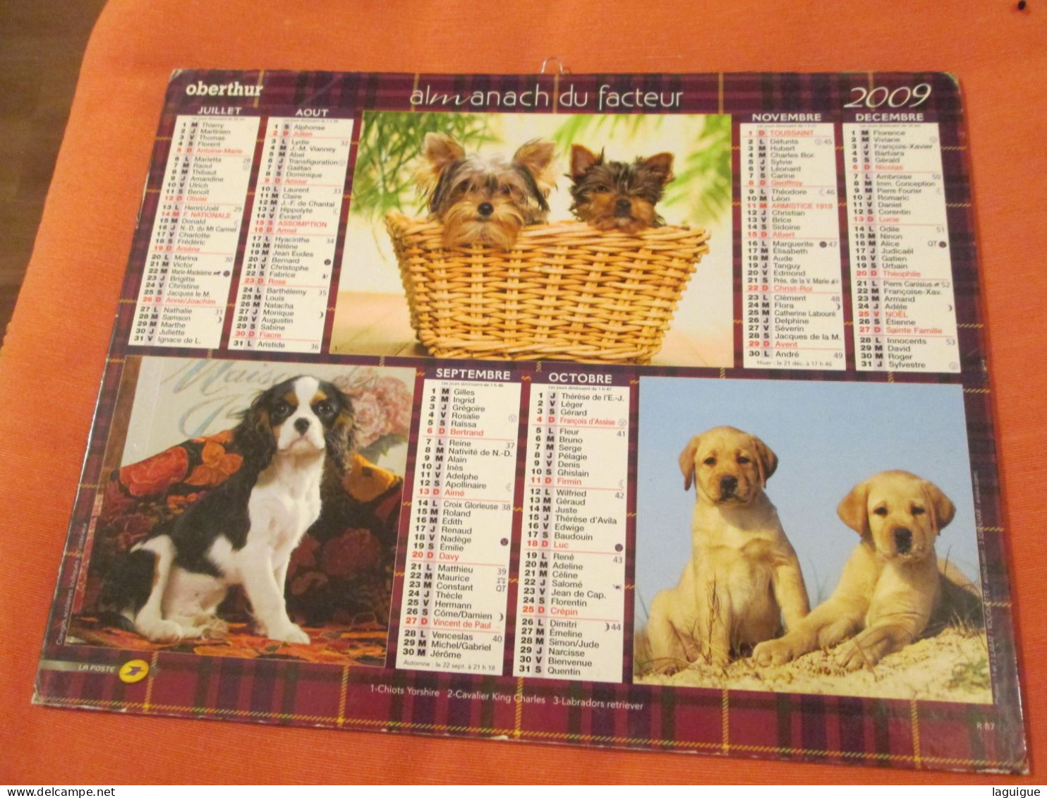 LOT DE 31 CALENDRIERS ALMANACHS de 1982 à 2016  CHIEN, CHAT, POUSSIN LAVIGNE OBERTHUR OLLER