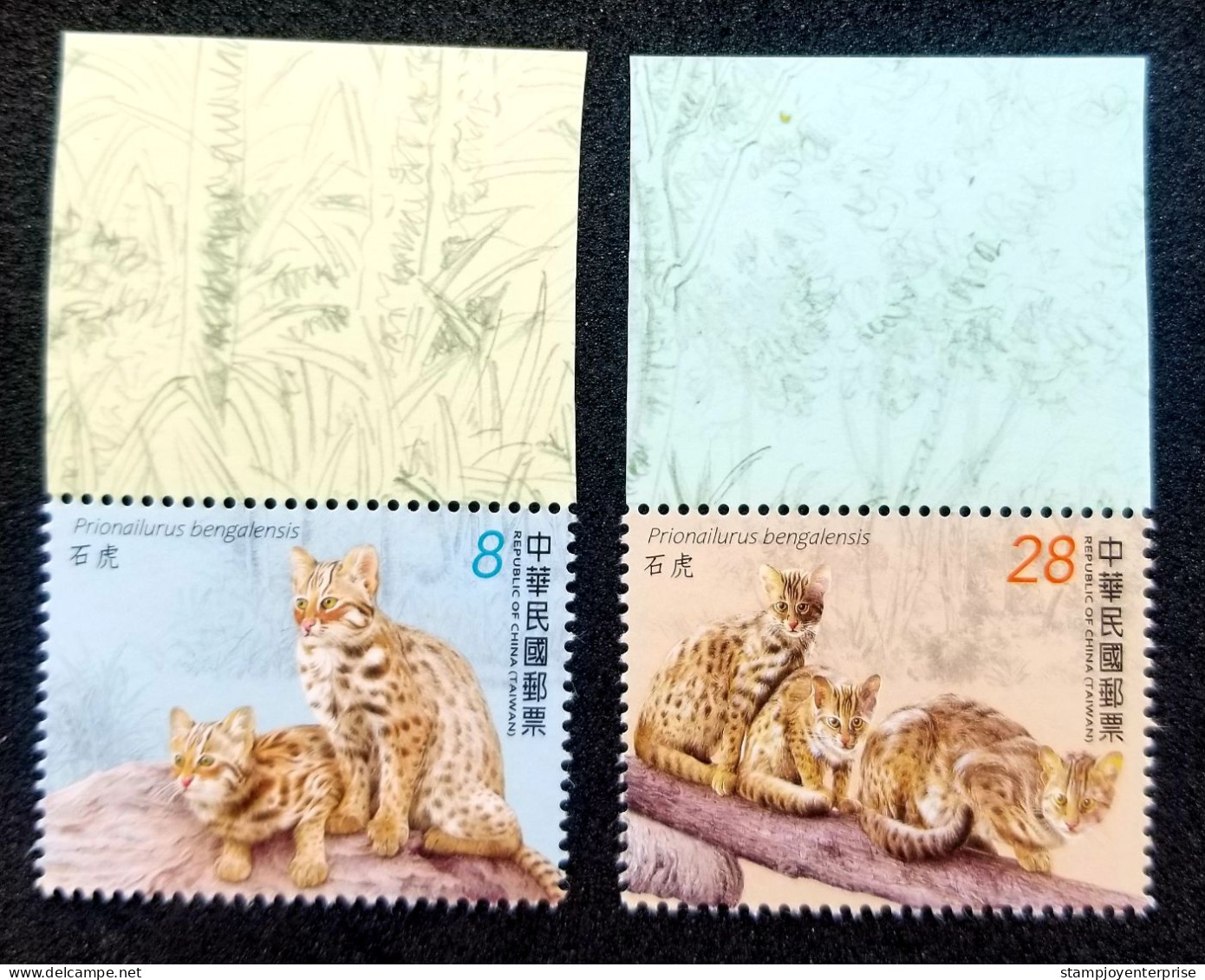 Taiwan Endangered Mammal Leopard Cat 2022 Big Wildlife Fauna Cats (stamp Margin) MNH - Ongebruikt