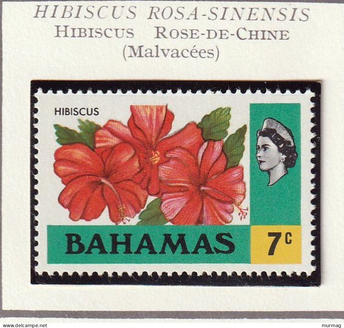 BAHAMAS - Fleurs, Flowers, Hibiscus Rose-de-Chine, Flamboyant, Técoma Dresse - 1971 - MNH - 1963-1973 Autonomía Interna