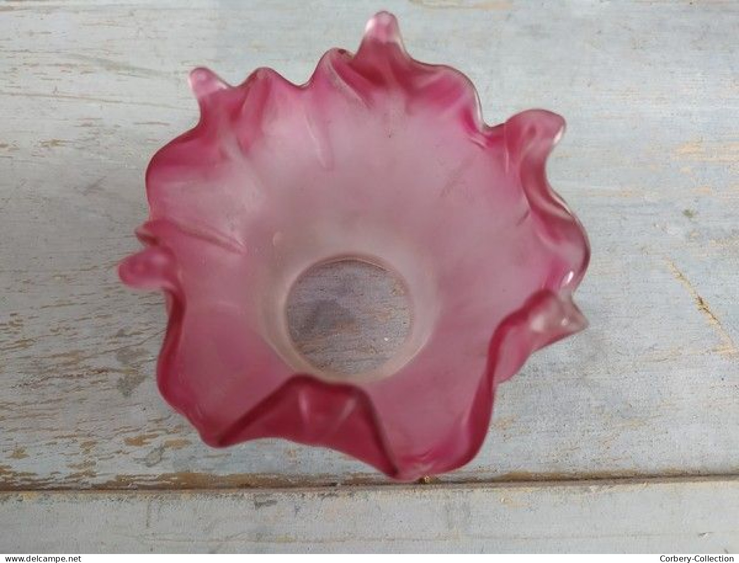 Petite Tulipe de Lampe Fleur Pétales Verre Rose Dégradé