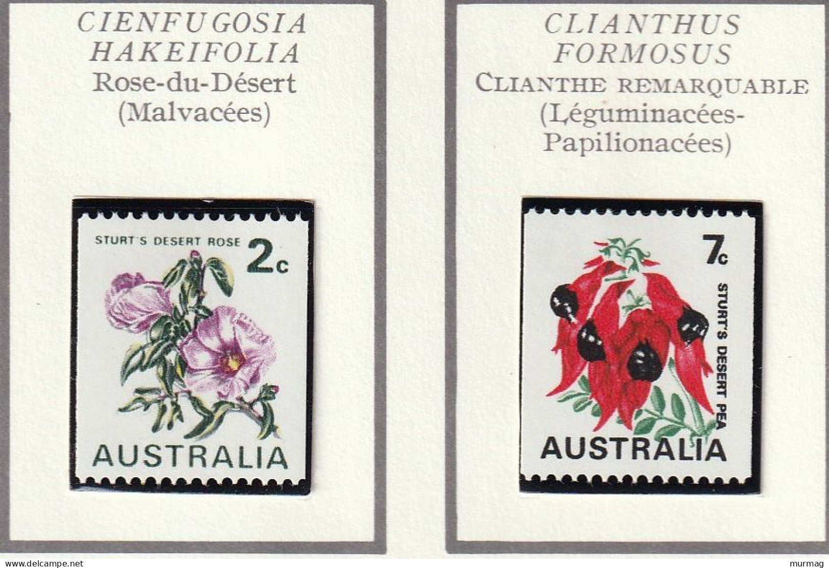 AUSTRALIE - Fleurs, Flowers, Rose-du-désert, Cliathe, Mimosa - 1971 - MNH - Mint Stamps