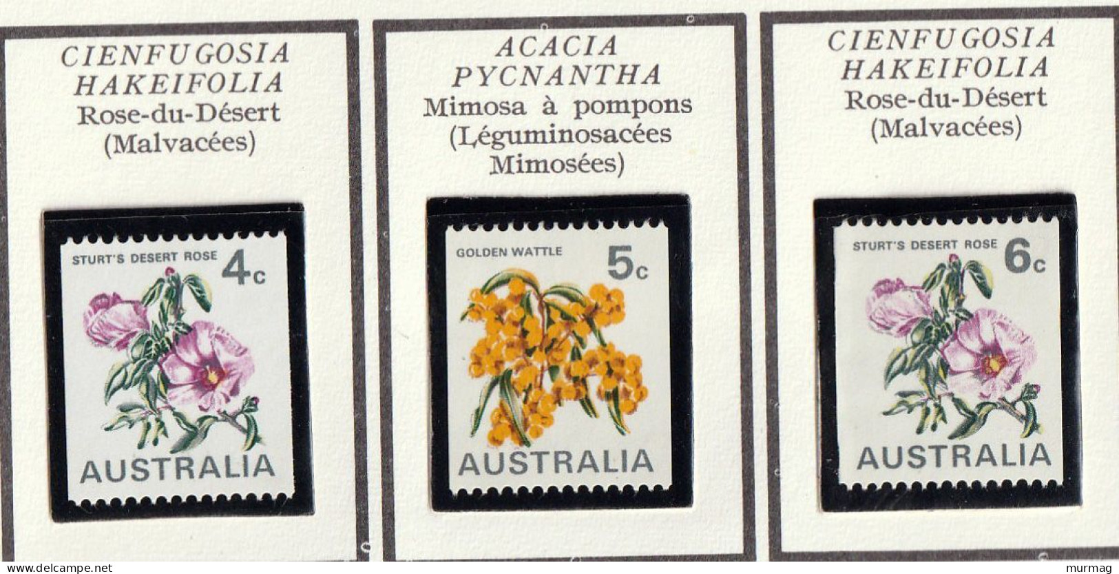 AUSTRALIE - Fleurs, Flowers, Rose-du-désert, Cliathe, Mimosa - 1971 - MNH - Mint Stamps