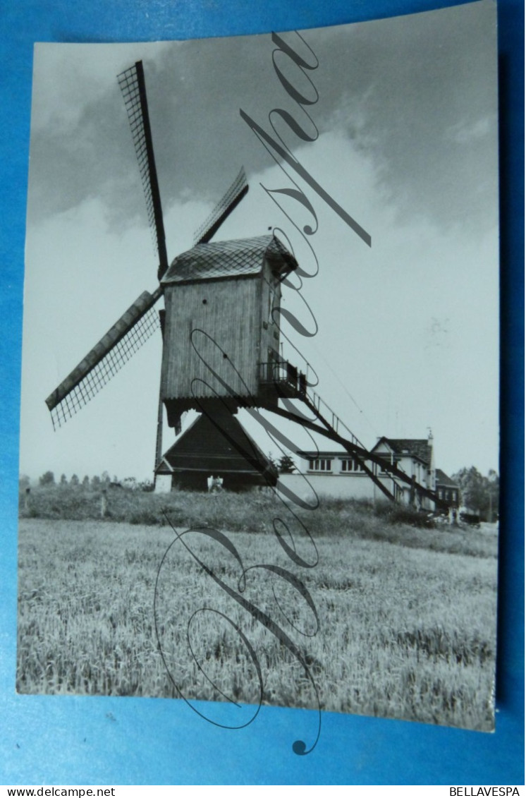 LEUT Maasmechelen Windmolen  Nieuw Leven. Moulin A Vent. - Maasmechelen