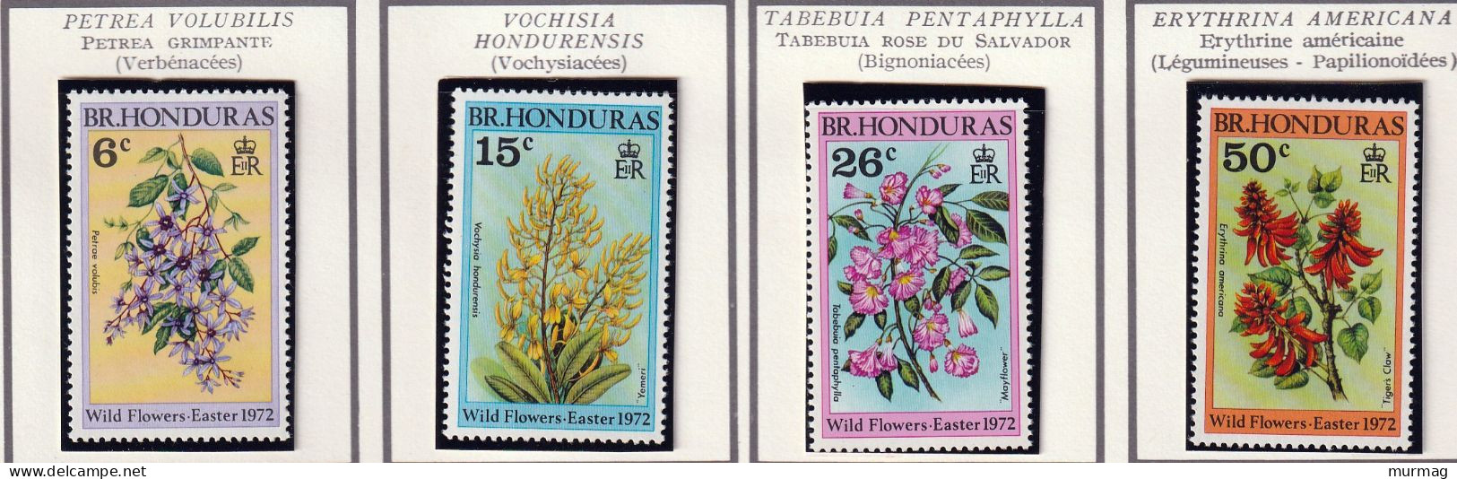 HONDURAS BRITANNIQUE - Fleurs, Easter Flowers, Petrea Grimpante, Rose Salvador, Erythrine - 1972 - MNH - Honduras Británica (...-1970)