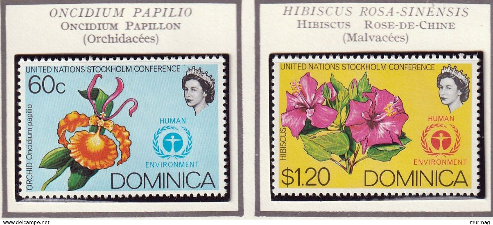 DOMINIQUE - Conférence De Stockholm, Nations Unies, Oncidium Papillon, Hibiscus Rose-de-Chine - 1972 - MNH - Dominicaine (République)