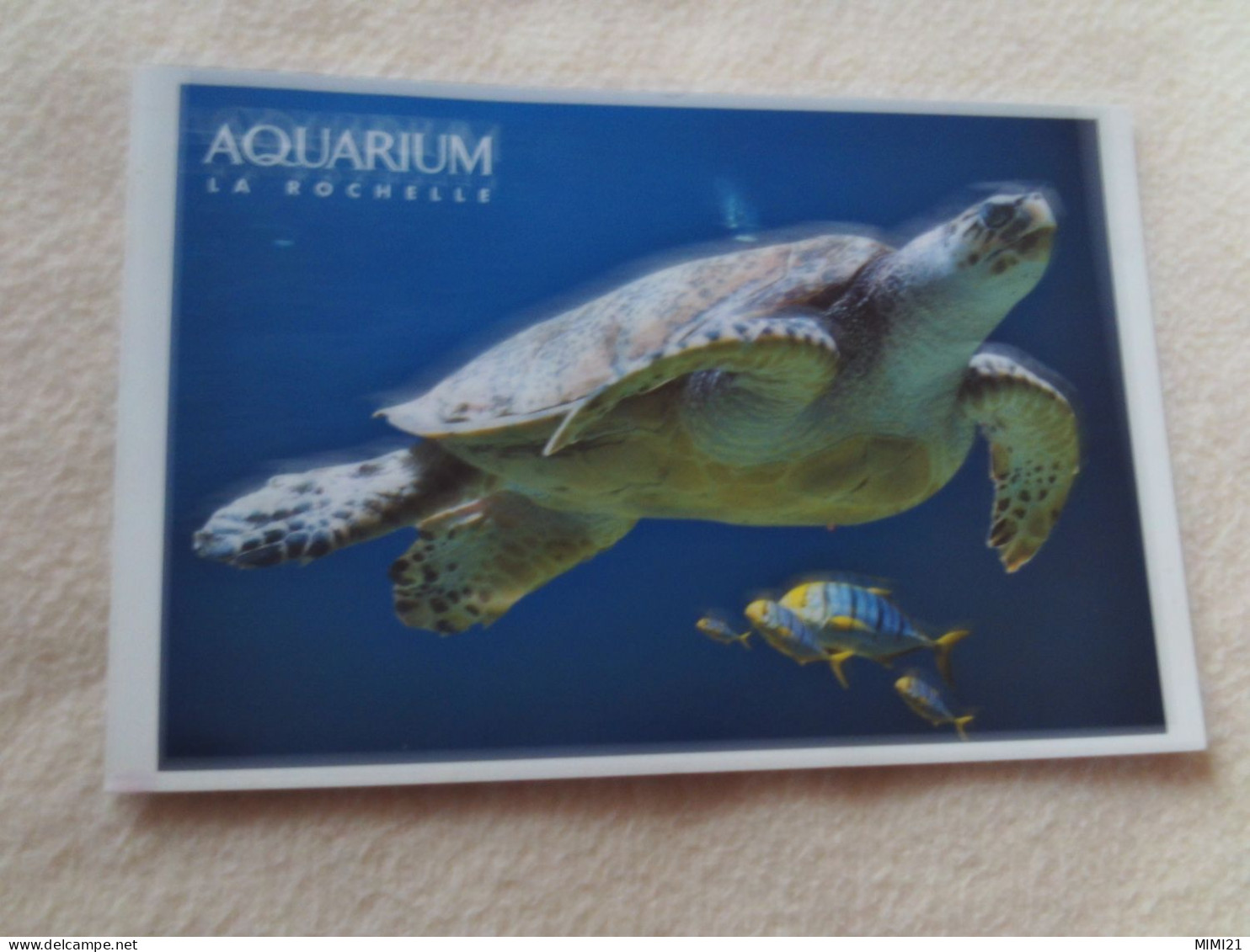 BELLE CARTE..."TORTUE IMBRIQUEE" ...AQUARIUM LA ROCHELLE..FLAMME LA COUARDE SUR MER - Tortues