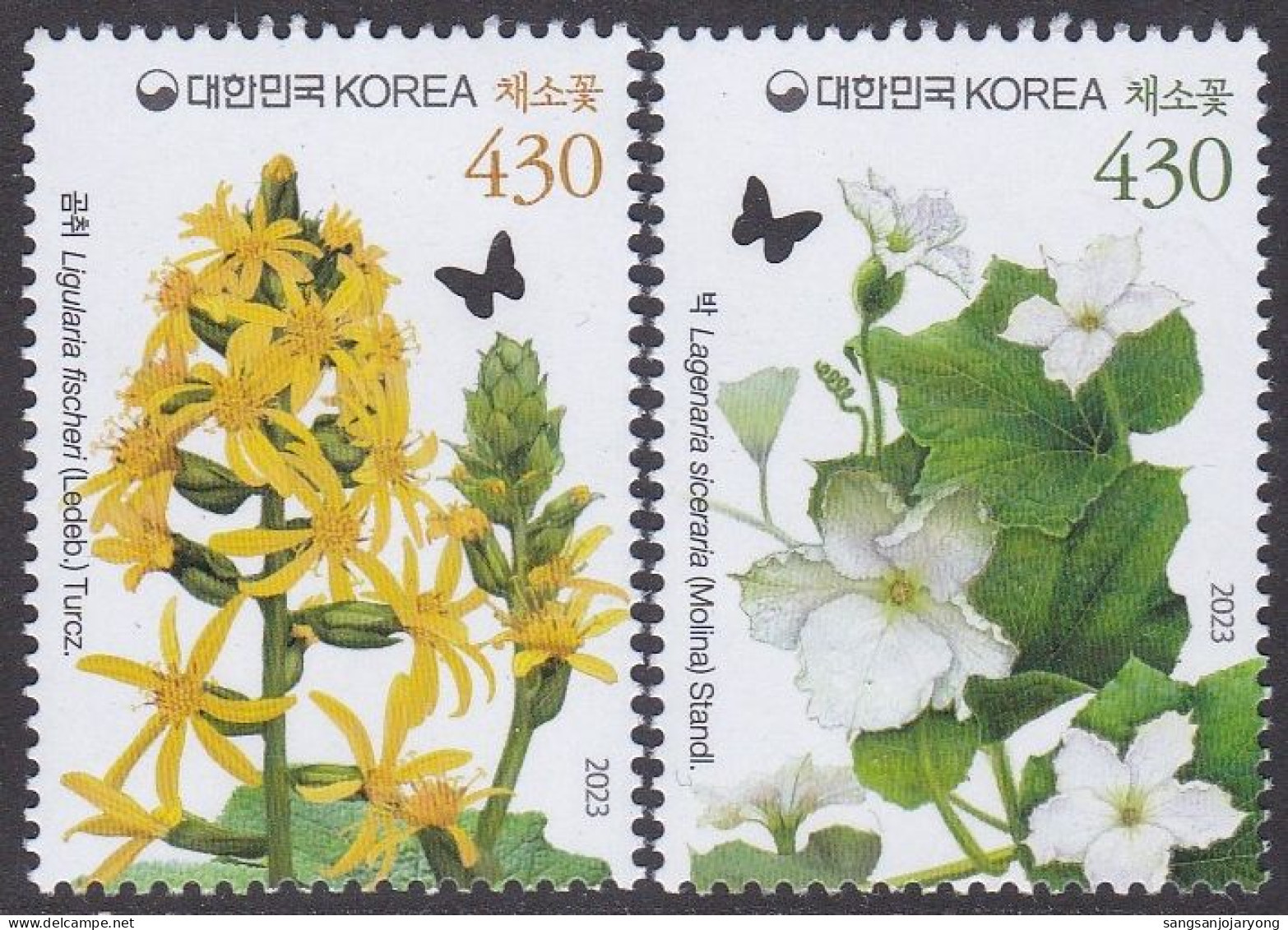 South Korea KPCC3036-7 Flowering Vegetable Plant, Lagenaria Siceraria Standl, Ligularia Fischeri Turcz, Plantes - Légumes